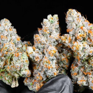 Flowers & Buds